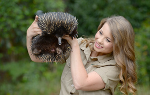 Bindi Irwin holding up an echidna.