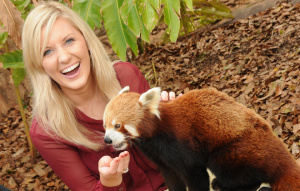 Young woman sitting and feeding a Red Panda.