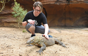 Visitor petting Indah the Komodo Dragon.