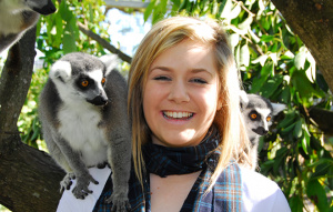 Ring-tailed Lemur sitting on a visitor's shoulder.