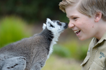 Robert Irwin touching noses with Vatobe the Ring Tailed Lemur.