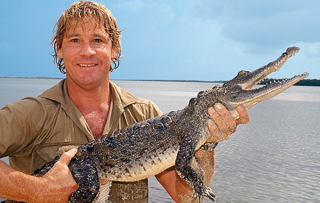 Steve Irwin The Crocodile Hunter Australia Zoo