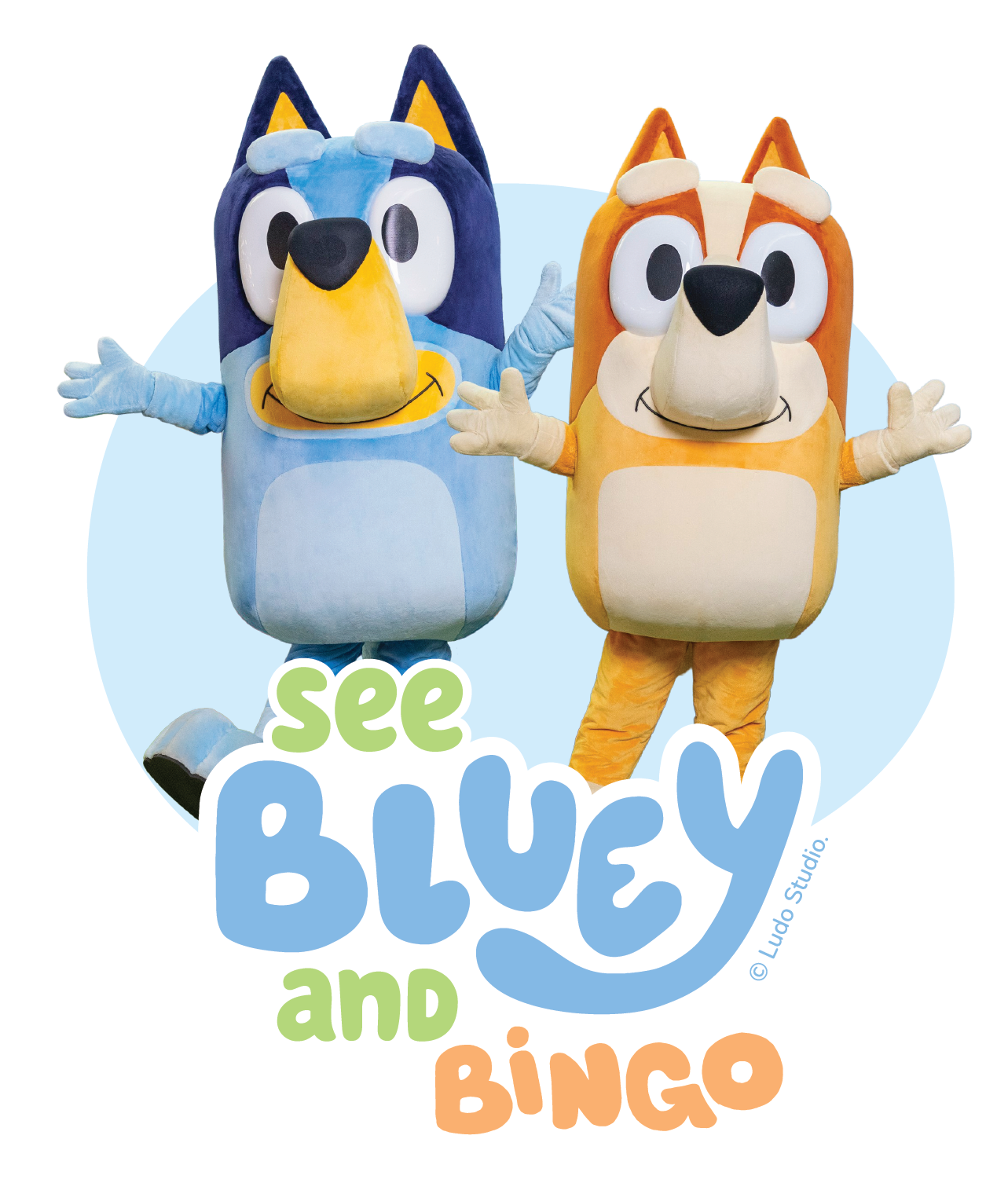 Bluey and Bingo live