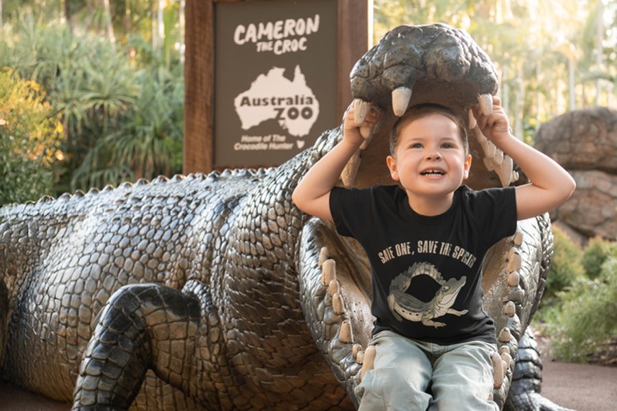 CAPTURE_CAMERON_WEB_ASSETS_900x600_FA