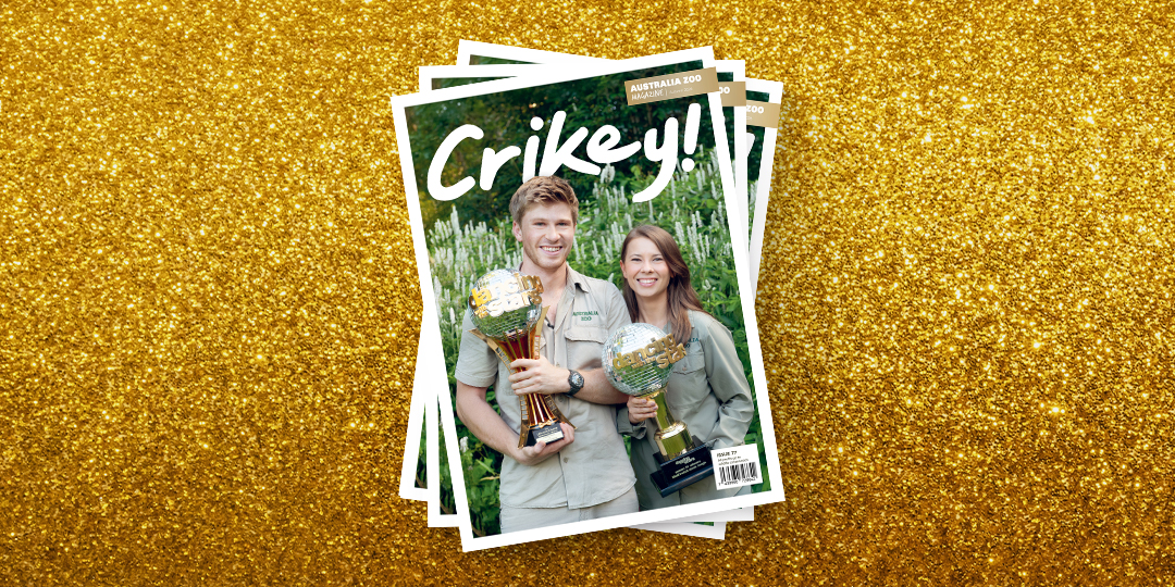 Mobile_crickey_mag