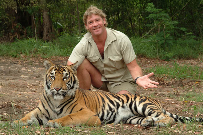 International Tiger Day