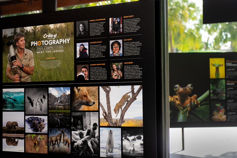 Photo Comp Gallery